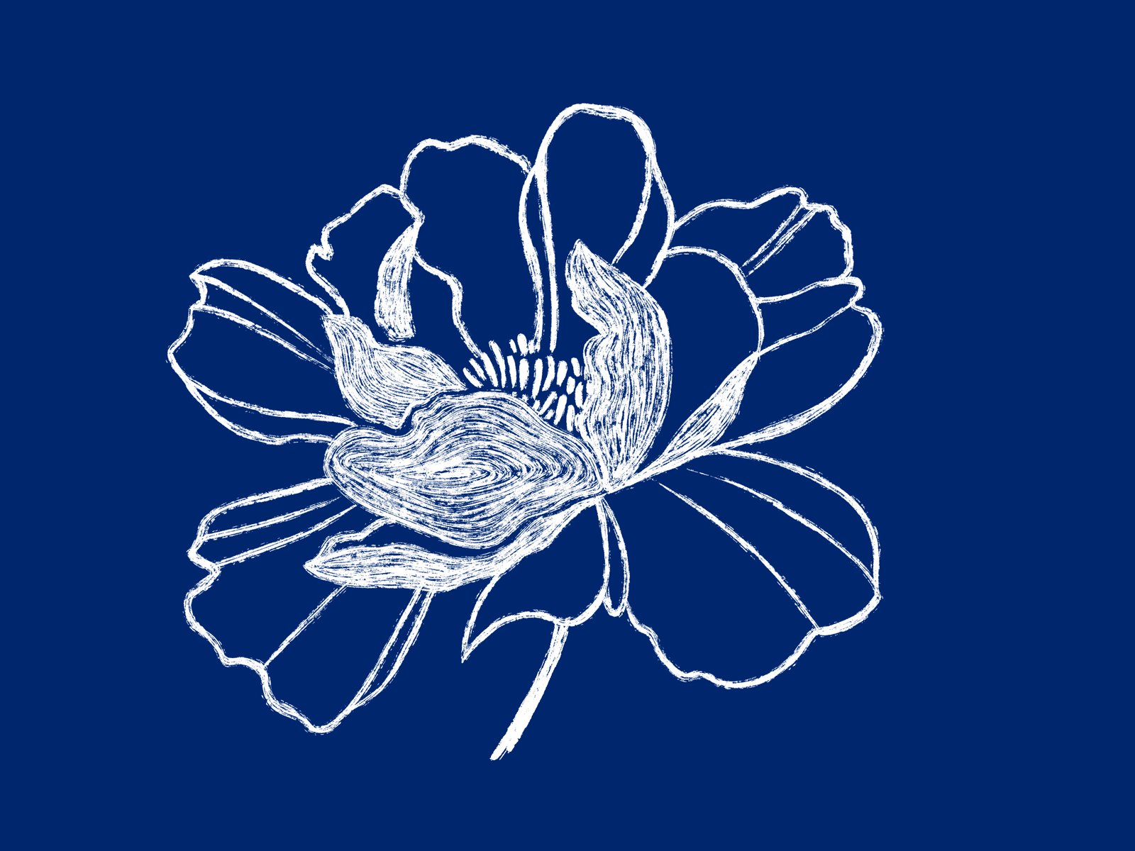 Shiatsu session moment